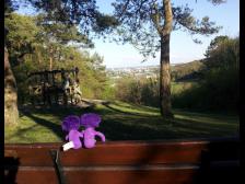 Dafür hat sich der Aufstieg gelohnt!